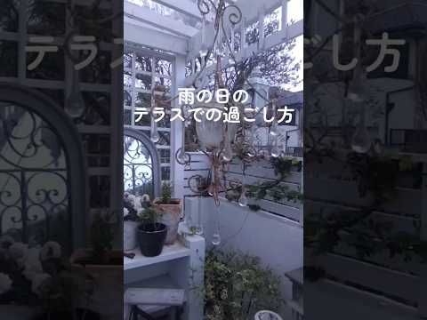 機能的で美しく、耐久性のある雨の庭を作るにはどうすればよいでしょうか?初心者向けの無料ガイド！  庭園