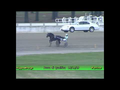 Prova di Qualifica 15/11/2019