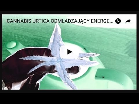 Maści nazwę potencji Ureaplasma urealitikum potencja