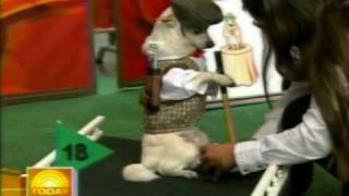 Now that's what I call a Fusion Crepe!