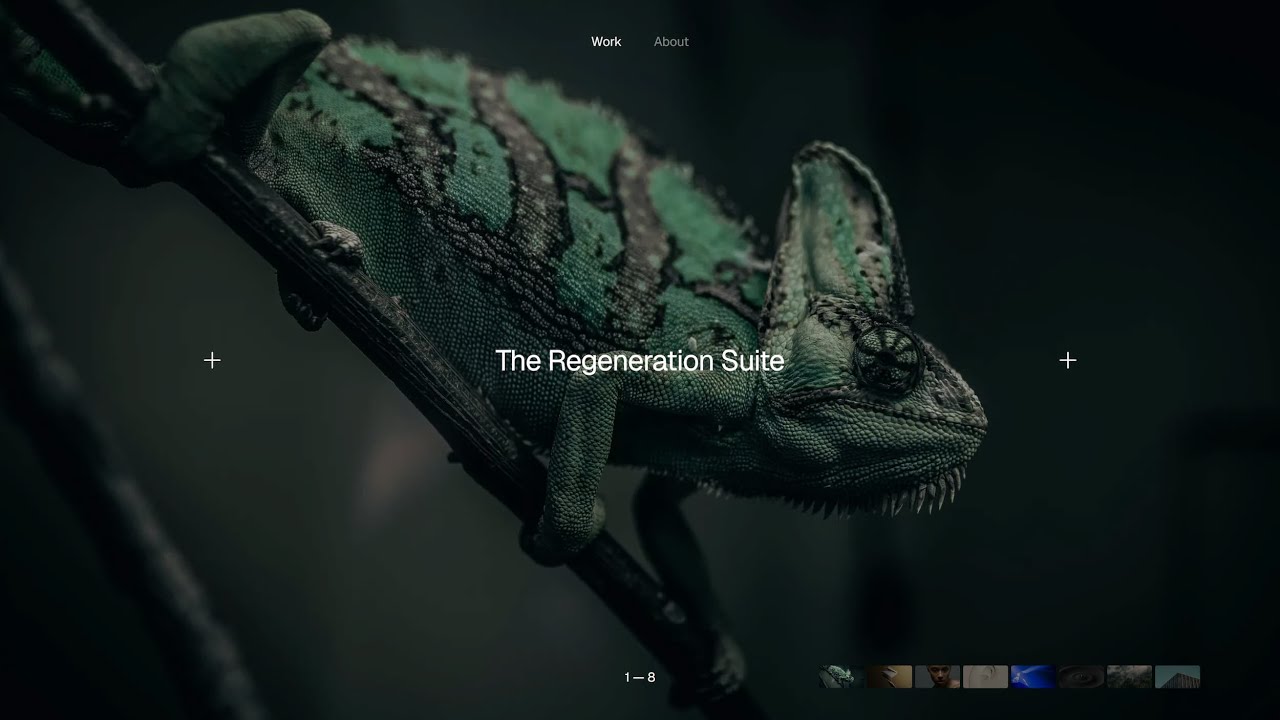 Build a Slider/Carousel with Framer Motion, GSAP and Next.js 15