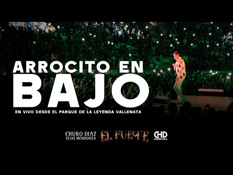 Miniatura de Arrocito En Bajo