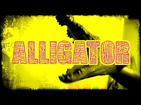 Video thumbnail for Alligator