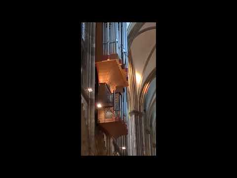 Die Orgelfeierstunden im Kölner Dom.