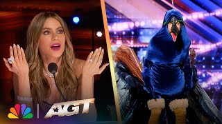 Sethward RETURNS?! Hilarity Ensues as a Wild Peacock Auditions | AGT thumbnail