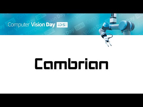 AI-supported 3D vision with practical examples – from reaching into a box to cable harness assembly