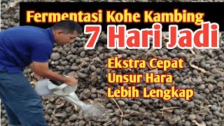 Download lagu How to Quickly Ferment Goat Manure: Ready to Use in 7 Days! mp3