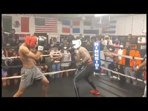 Positive Boxing Highlight Show