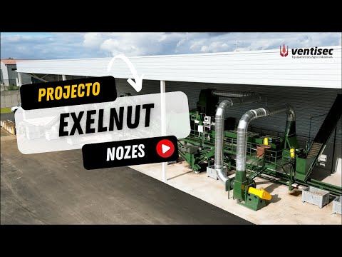 Video Of Our Portuguese Walnut Farm