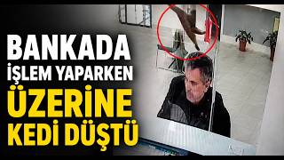 Bankada İşlem Yaparken Üzerine Kedi Düştü
