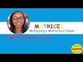 Multiplying Matrix By A Scalar