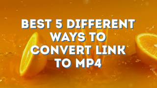 Best 5 Different Ways to Convert Link to MP4