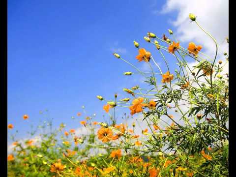 Stan Courtois & Felly vs Lykke Li - Follow Rivers Again (Father & Son Rework)