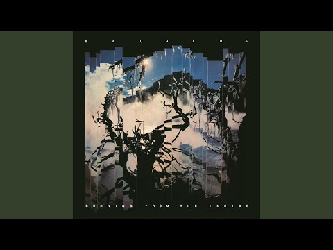 Slice of Life - Bauhaus