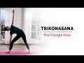 Trikonasana Triangle Yoga Pose How To Do Trikonasana Steps Benefits Yogic Fitness