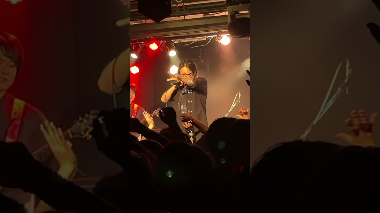 根はいいやつ drop 2026/03/08 第5回 わっしょいドレミ祭り at 西永福 JAM