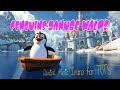 Penguins Danube Waltz Kids Songs RocknTots Kid Friendly Version Of Strauss Blue Danube Waltz