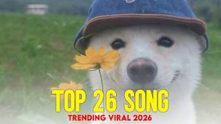 Download lagu Top 250 Lagu Santai Buat Kerja, Belajar, Berak, & Tidur (Full Relax Playlist)🍃 mp3