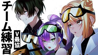 本日もフィジカル! - 【APEX】V最カスタム!今日もチーム練習!w/トワ様 きゅぴさん Sellyさん【或世イヌ/Neo-Porte】