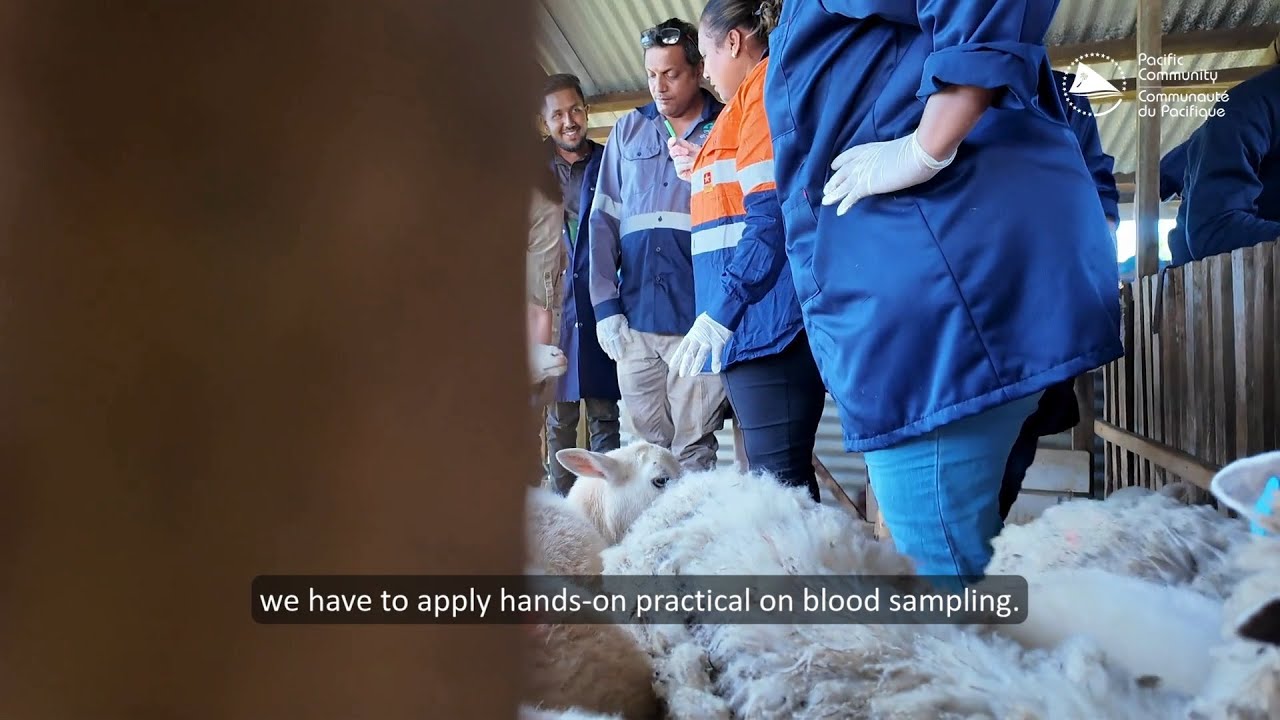 Paravet Training Programme (Fiji)