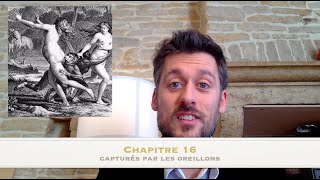Candide de Voltaire, résumé complet ! (Troisième partie, chapitres 14 à 22)