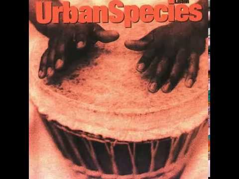 Urban Species - No particular Title