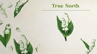 Caroline Spence - True North
