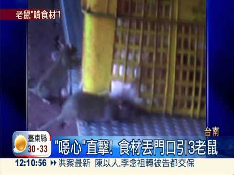 待煮豬肉放門口 3老鼠包夾超噁!