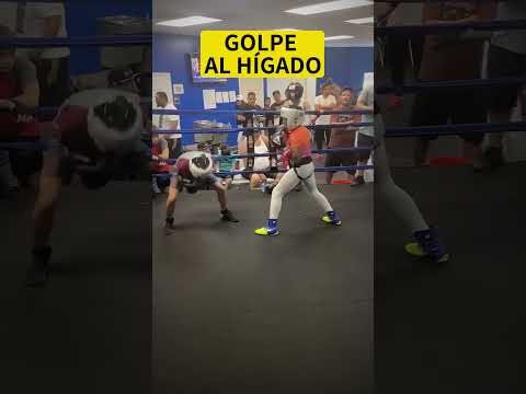 Este es el mejor golpe al hígado que podes hacer 🥊