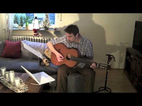 Hansi's Videotagebuch 19.Tag - Gitarre lernen in 30 Tagen