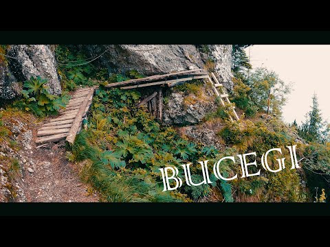 Traseu Malaiesti - La Prepeleac - Pichetul Rosu