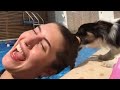 Man's Best Friend Fails - Hilarious Dogs and Puppies Compilation | FailArmy