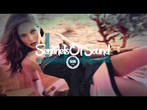 The Bloody Beetroots Ft. Peter Frampton // The Beat (Tom Budin Remix)