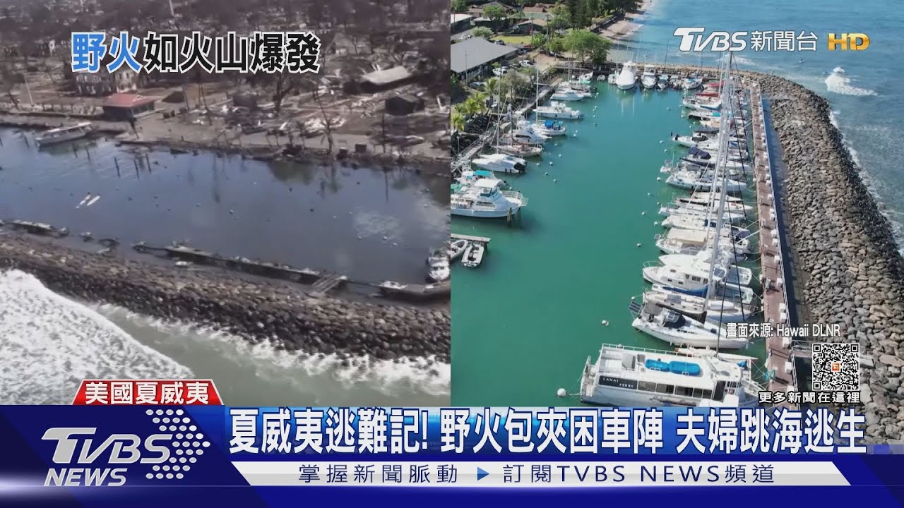 夏威夷逃難記!野火包夾困車陣 跳海逃「以為沒命」