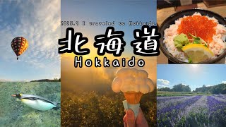 【Vlog】北海道一人旅行/北海道旅行/星野リゾート/トマム/ポケモンセンターサッポロ/ひとり旅