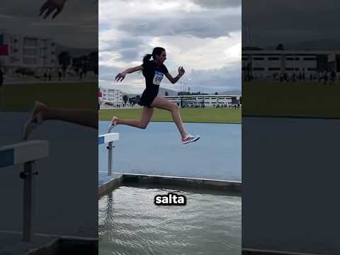 Perché saltano nell’acqua?💧