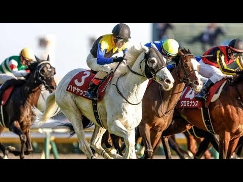HAYAYAKKO wins the G2 THE COPA REPUBLICA ARGENTINA