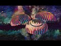 13th Floor Elevators ~ Splash 1