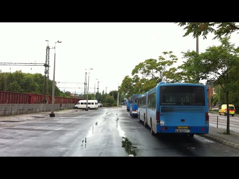 Kaposvár 31-es járat; Helyi autóbusz-állomás - Egyenesi utca - Mátyás király utca