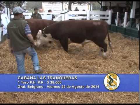 Cabaña Las Tranqueras - TOROS P.H. P.R. - Lalor S.A. - General Belgrano - 22/08/2014