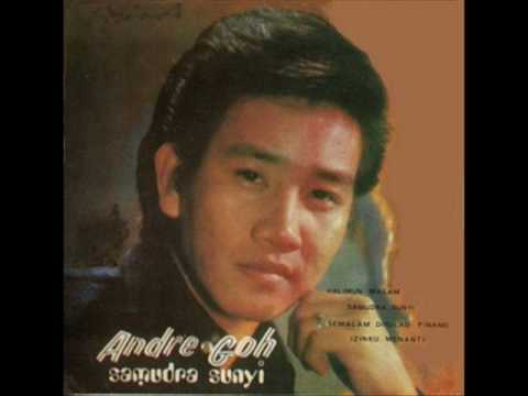 Andre Goh - Tinggallah Sayang Dalam Impian..