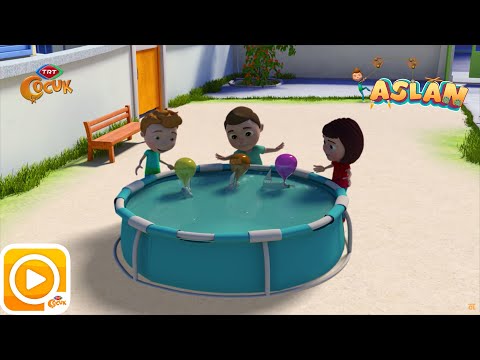 Aslan | Yarış Kayıkları