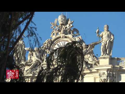 L'albero di Natale arriva in Piazza San Pietro