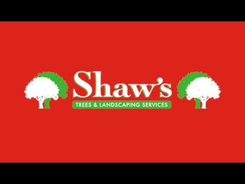 Shaws trees and landscaping video.