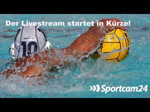 Wasserball // DWL: SV Ludwigsburg vs. SC Neustadt