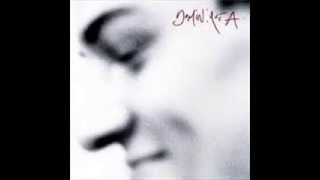 Dominique A - Va t'en