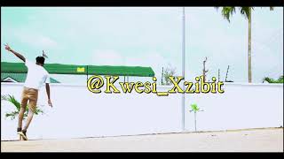 Kwesi Xzibit KILLED DJ Breezy - Slow Down ft. King promise, Joey B &amp; D Black (Official Dance Video)