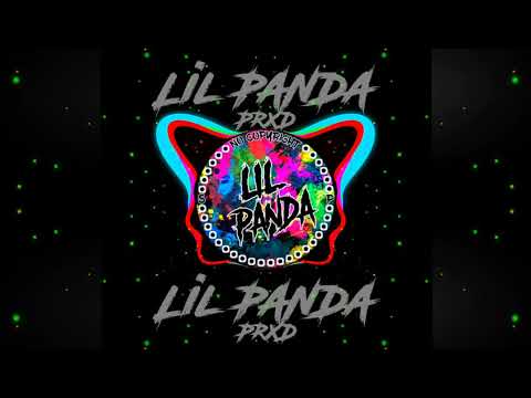 Loto Gris (Lil PANDA)