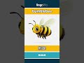bumblebee - 熊蜂 video thumbnail