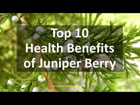 , title : 'Top 10 Health Benefits of  Juniper berry - Healthy Wealthy Tips